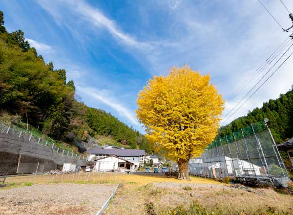 集落活動センター奥四万十の郷