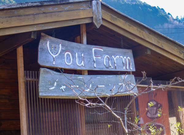 You Farm