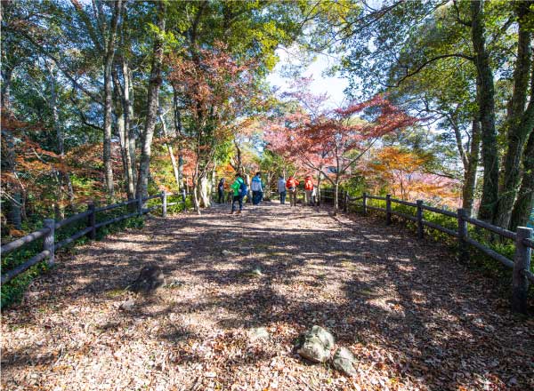 姫野々城跡（城山公園）